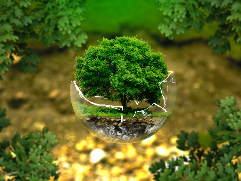 臨期的奶粉可以喝嗎?|過期奶粉銷毀 臨期的奶粉可以喝嗎?|過期奶粉銷毀